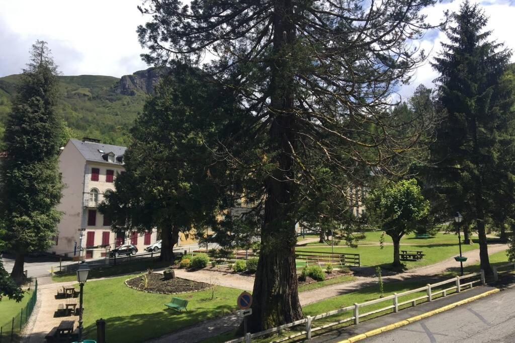 Cocon De La Vallée D'ossau , Véritable Havre De Paix - 4 à 6 Pers Appartement *